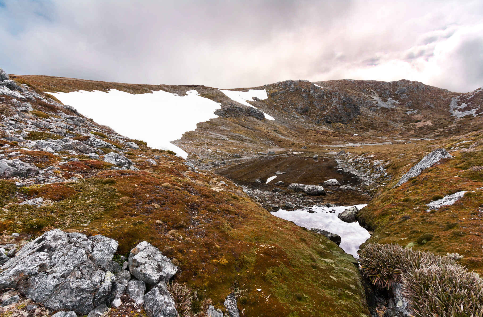 Cover image: Alpine Snow Melt