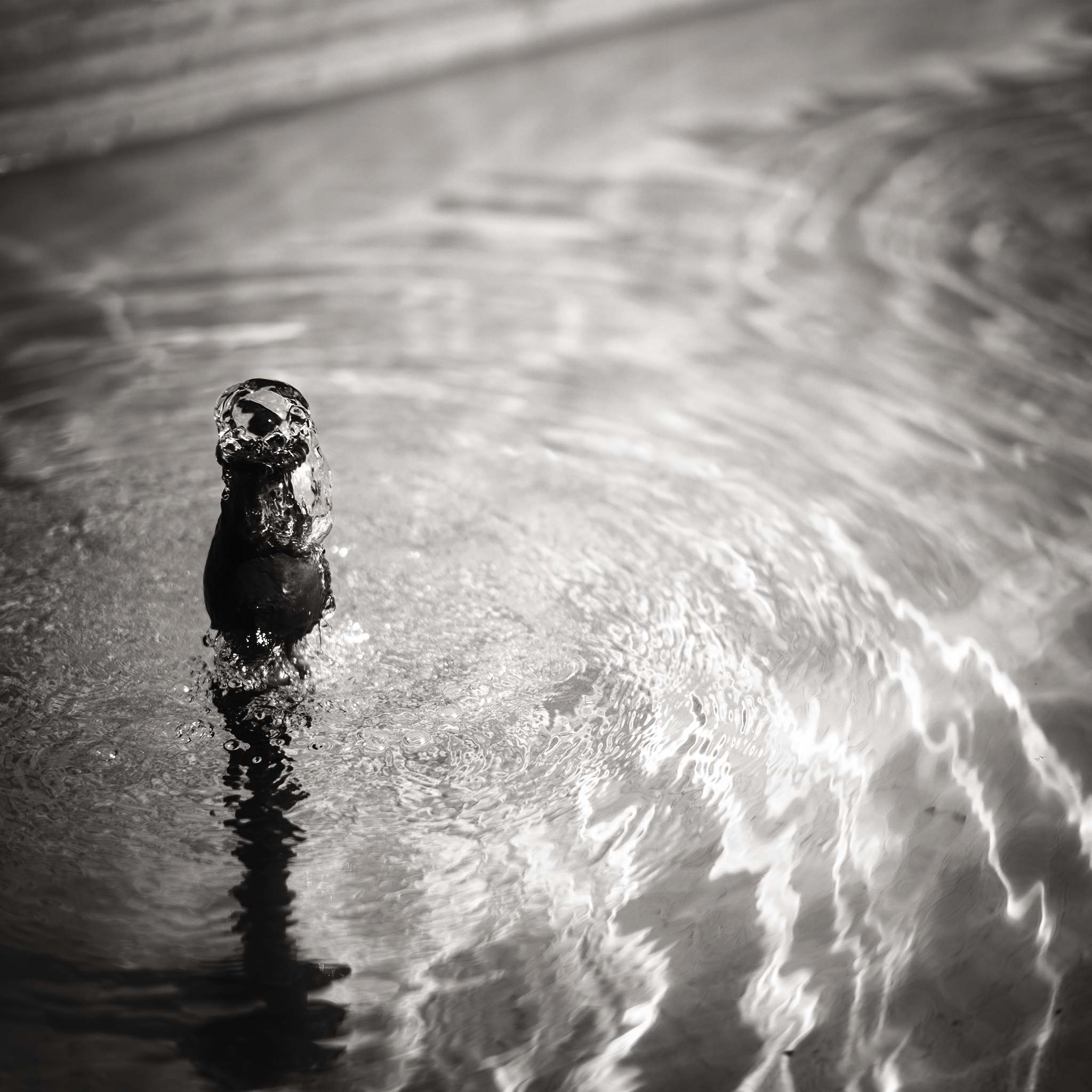 Cover image: Elements of Calm