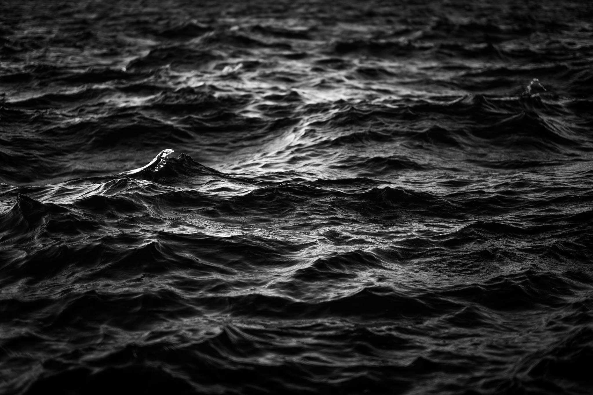 Cover image: Gamla Stan Waters