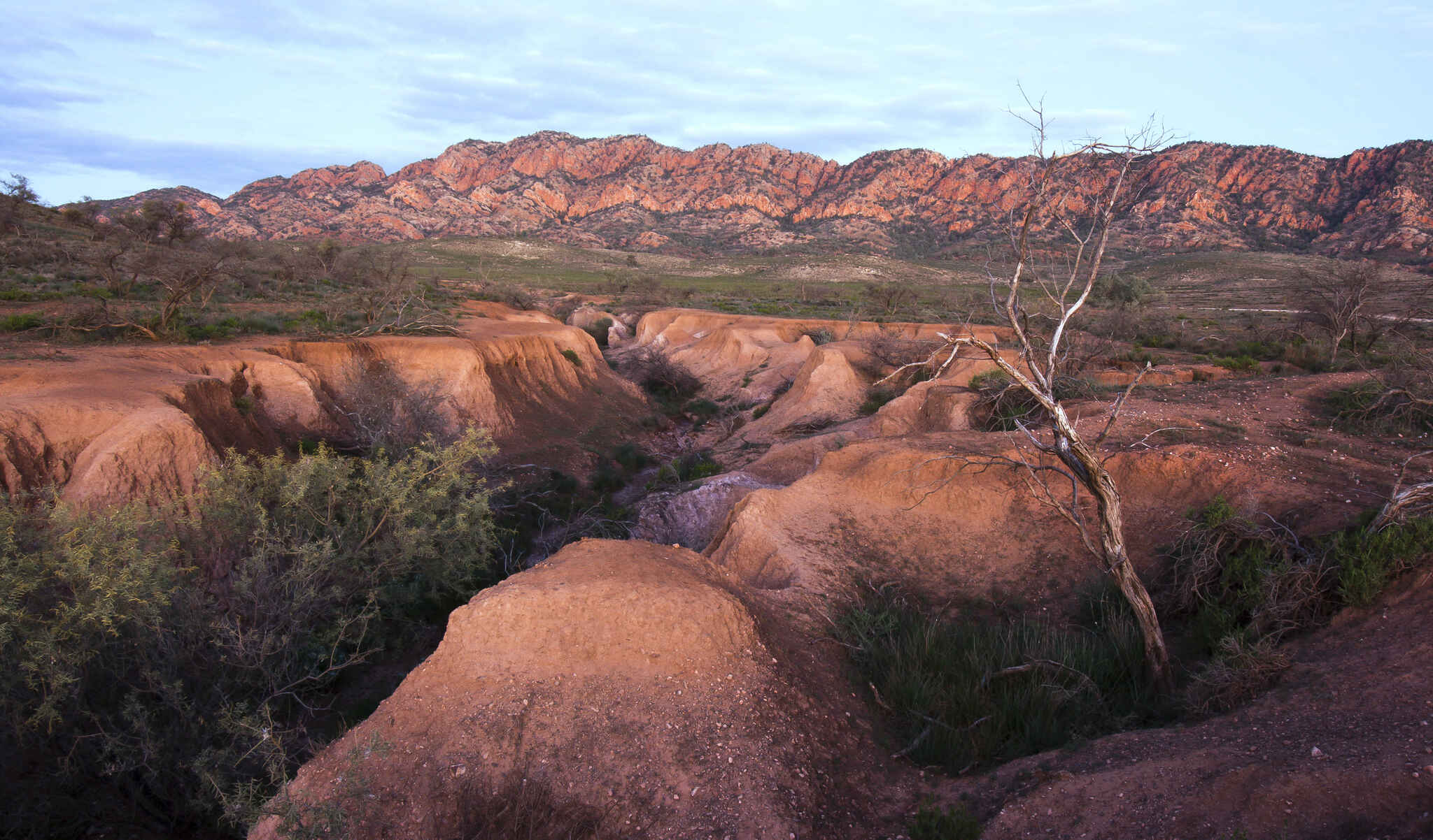 Cover image: On the Road to Pugilist Hill