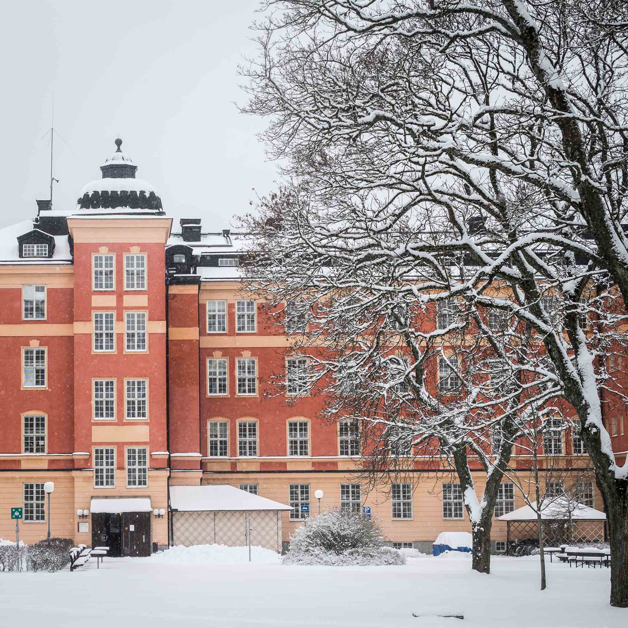Cover image: Uppsala University